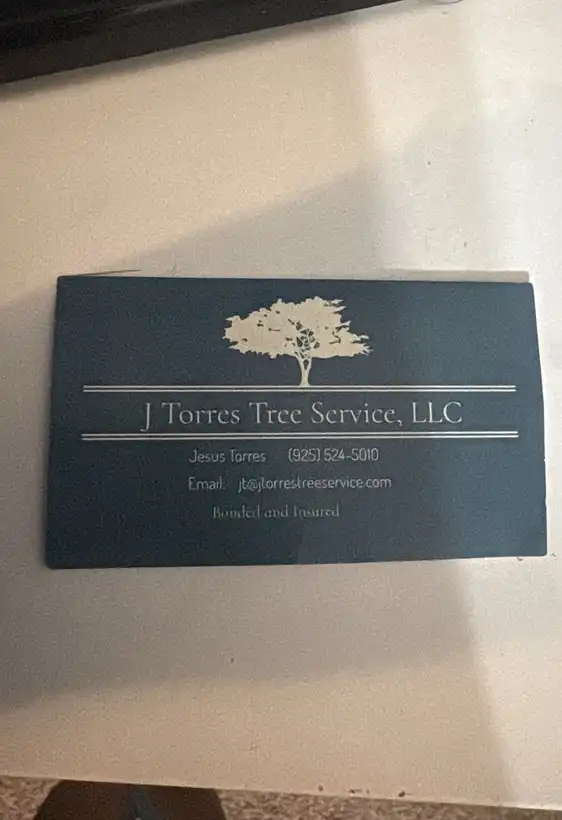 Efficient Tree Cutting