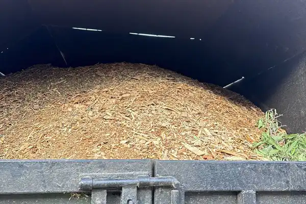 J Torres Tree Service LLC's other services