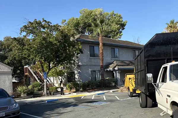 Professional Tree Services