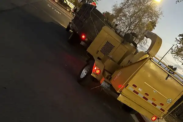 Reliable Tree Company