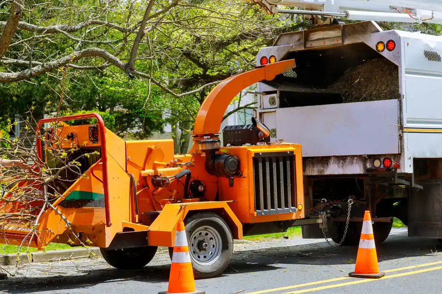 Understanding Permits For Tree Removal Services Concord, CA Understanding Permits For Tree Removal Services Concord, CA